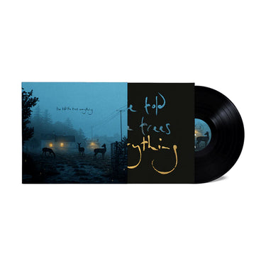 DERMOT KENNEDY - I’ve Told The Trees Everything - 12'' EP - Vinyl