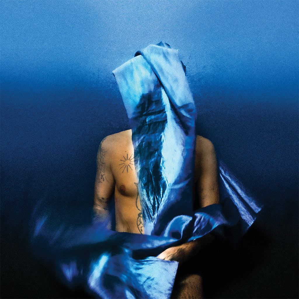 DEVENDRA BANHART - Flying Wig (with Poster) - LP - Black Vinyl [SEP 22]