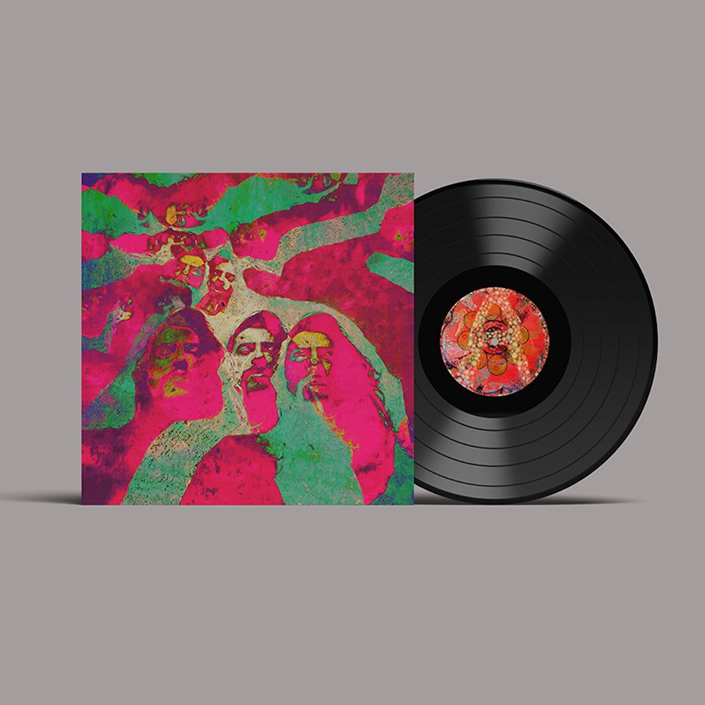 DIMORPHODONS - Waui - LP - Vinyl [APR 25]