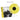 KNATS - Knats - LP - Vinyl - Dinked Edition #325 [MAR 7]