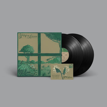 DIRTY PROJECTORS, DAVID LONGSTRETH AND S T A R G A Z E - Song Of The Earth
