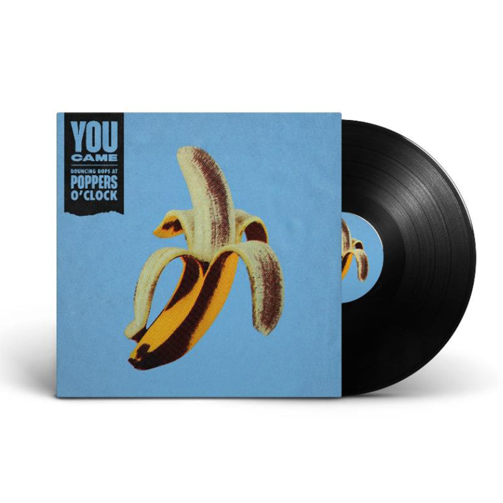 VARIOUS - Disco Discharge Presents Box Of Sin - 4LP - Vinyl Box Set [O ...