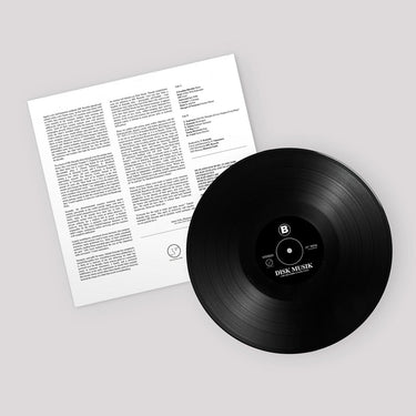 VARIOUS - Disk Musik: A DD. Records Compilation - LP - Vinyl