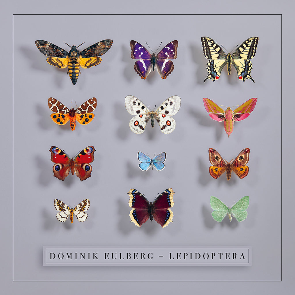 DOMINIK EULBERG - Lepidoptera - 2LP - Gatefold PET Vinyl [NOV 7]
