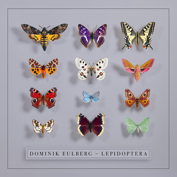 DOMINIK EULBERG - Lepidoptera - 2LP - Gatefold PET Vinyl [NOV 7]