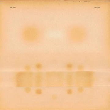 DR. DOG - Dr. Dog - LP - Vinyl