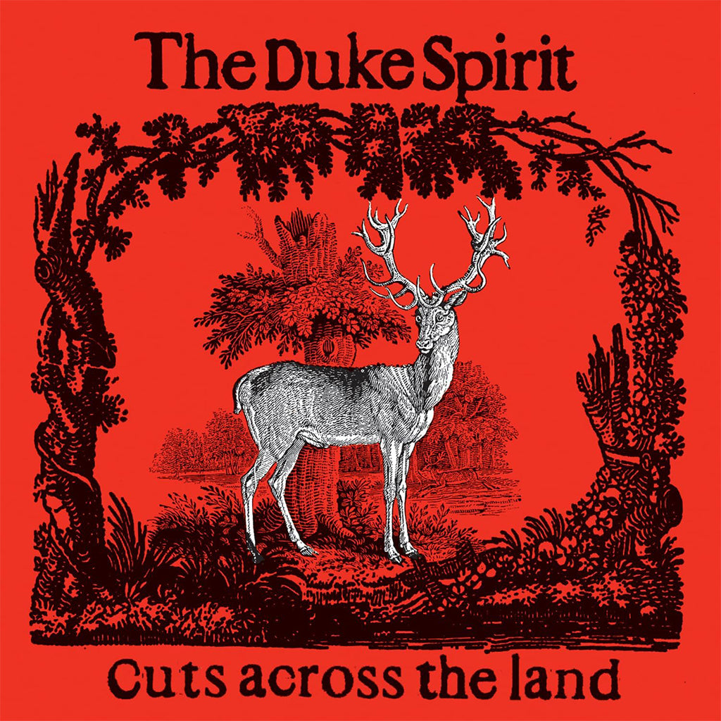 THE DUKE SPIRIT - Cuts Across The Land (Deluxe) - 2LP - 180g Yellow Splatter & Red Splatter Vinyl