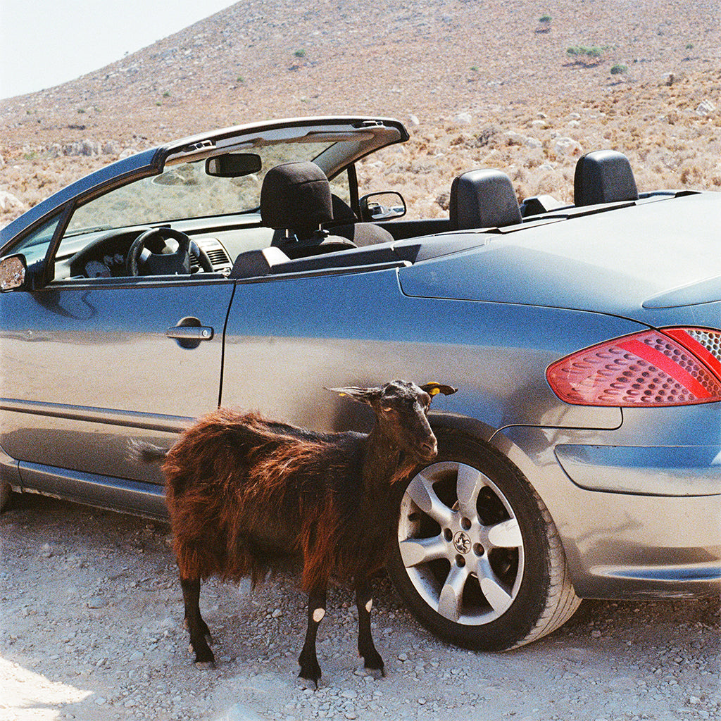 EXEK - Prove The Mountains Move - LP - Vinyl [FEB 27]