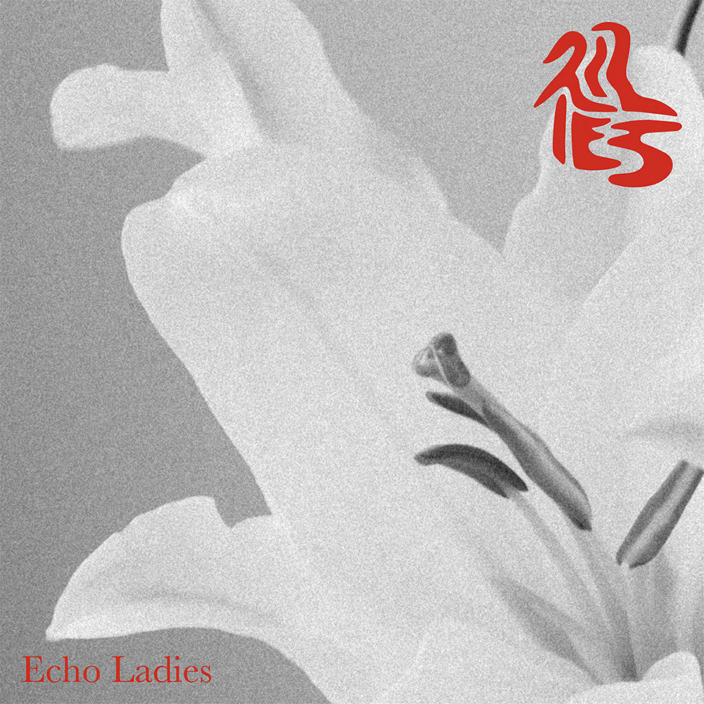 ECHO LADIES - Lilies - LP - White Vinyl [SEP 8]