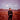 ED HARCOURT - El Magnifico - CD