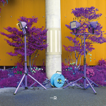 EIKO ISHIBASHI AND DARIN GREY - Ichida (Reissue) - LP - Vinyl [JUN 20]