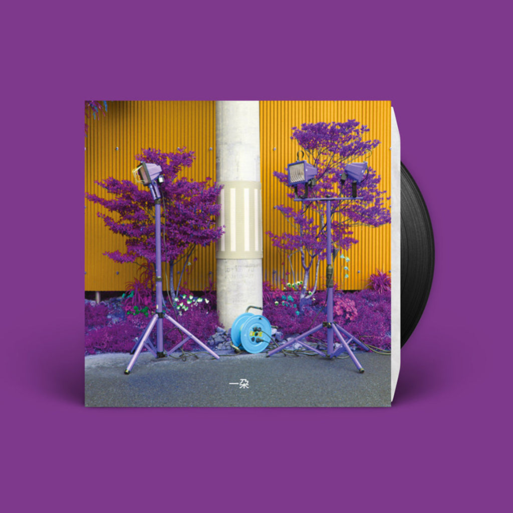 EIKO ISHIBASHI AND DARIN GREY - Ichida (Reissue) - LP - Vinyl [JUN 20]