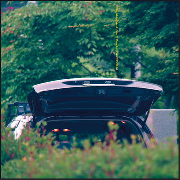 EIKO ISHIBASHI & JIM O'ROURKE - Pareidolia - LP - Vinyl [AUG 29]