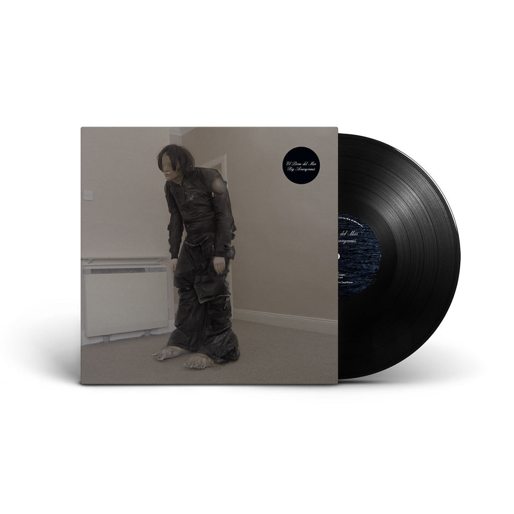 EL PERRO DEL MAR - Big Anonymous - LP - Vinyl