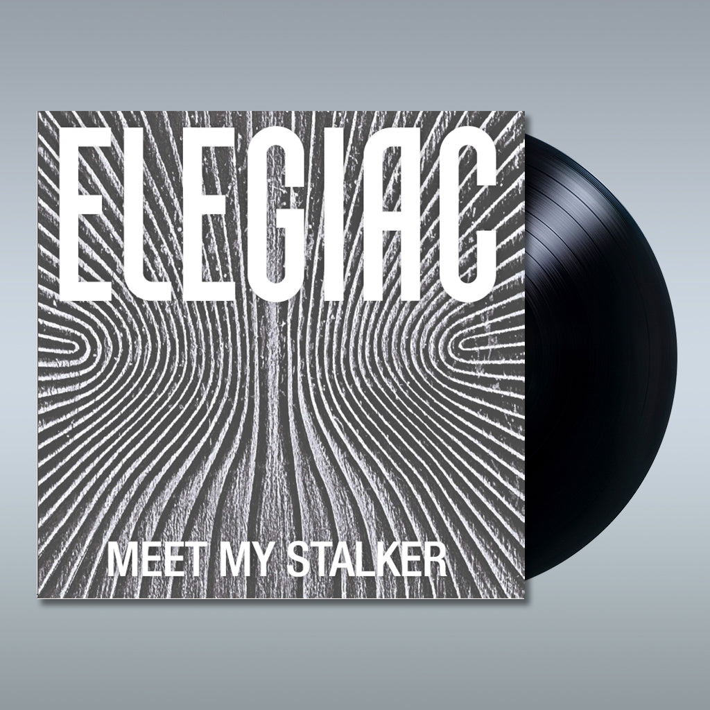 ELEGIAC - Meet My Stalker - 12'' EP - Vinyl
