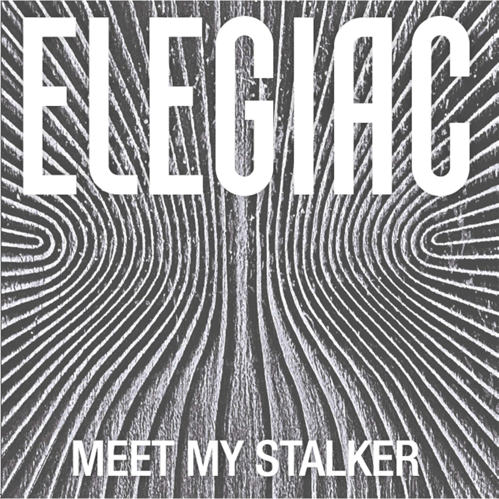 ELEGIAC - Meet My Stalker - 12'' EP - Vinyl