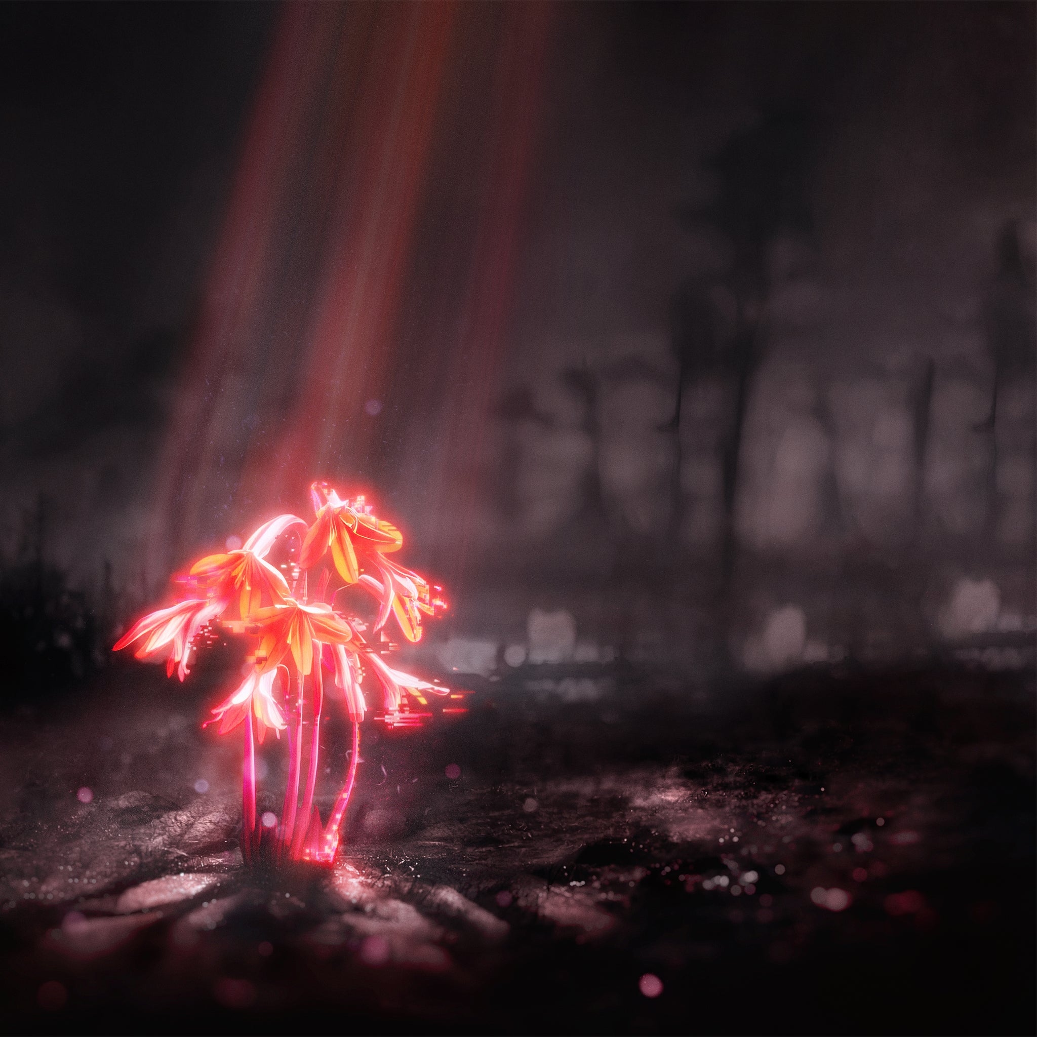 ENTER SHIKARI - A Kiss For The Whole World - LP - Orange 'Sunset' Colour Vinyl [AUG 15]