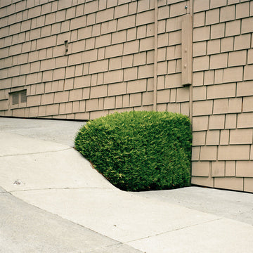 EZRA FEINBERG - Soft Power (Repress) - LP - Bio Black Vinyl