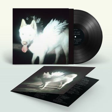 Black Vinyl LP