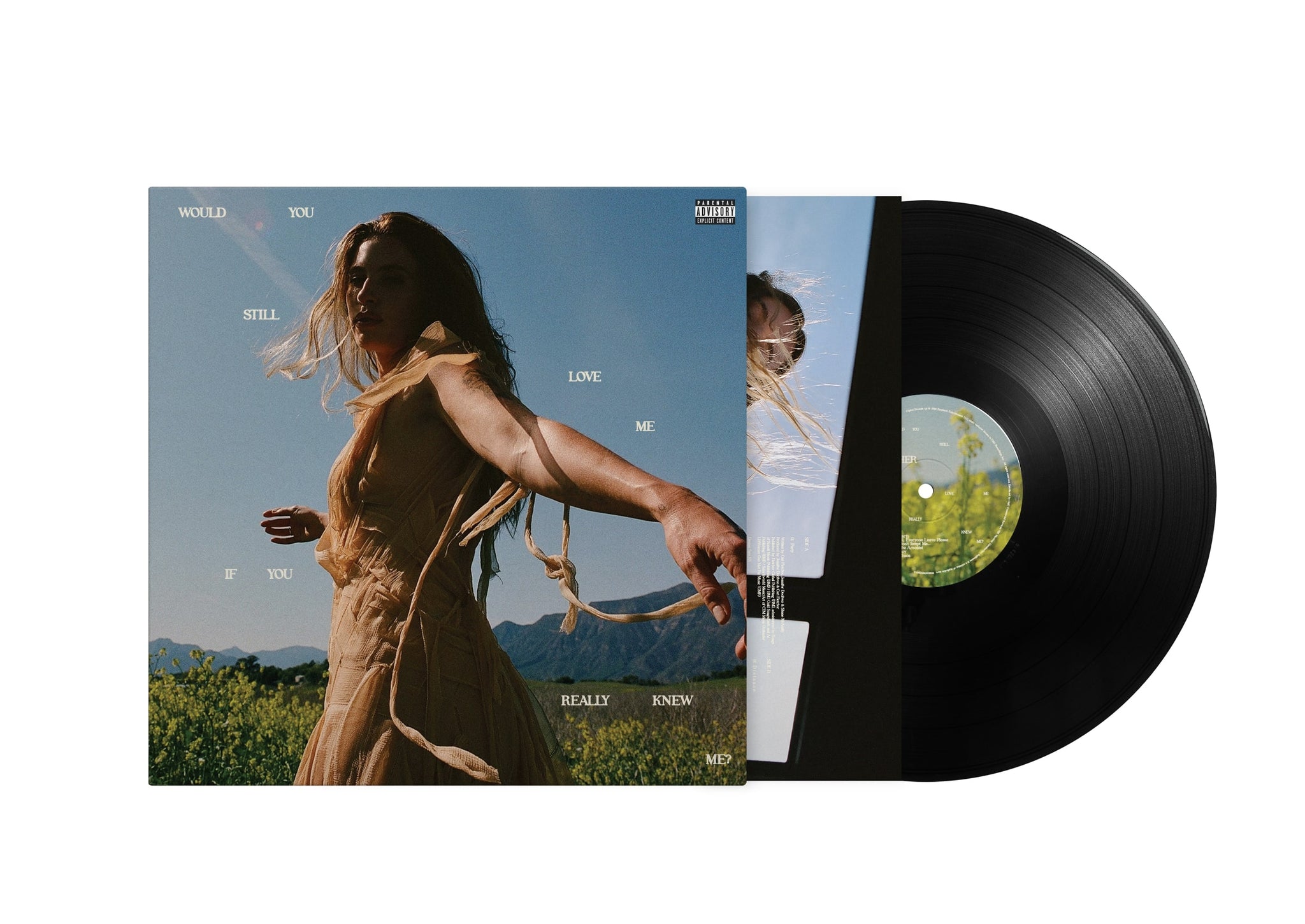 FLETCHER - Would You Still Love Me If You Really Knew Me? - LP - Black Vinyl [JUL 18]