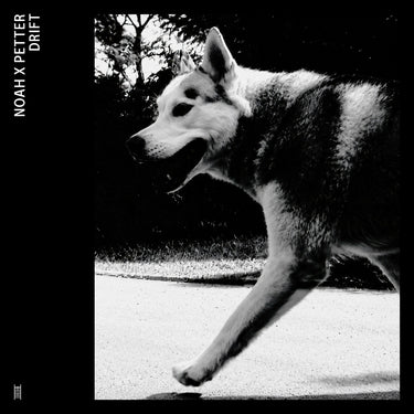 Limited Edition Black Vinyl LP