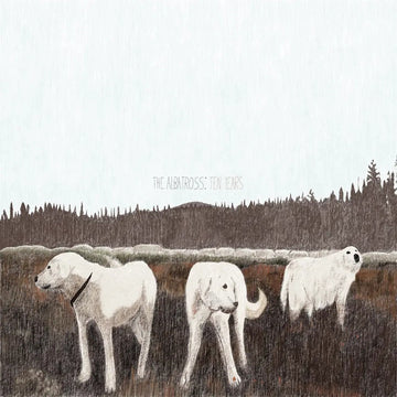 FOXING - The Albatross: Ten Years - LP - Brown Vinyl [JUN 14]