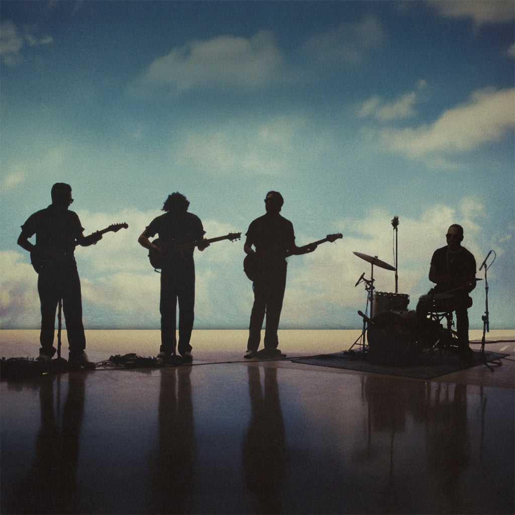 THE FEARLESS FLYERS - The Fearless Flyers V - LP - Black Vinyl [NOV 28]