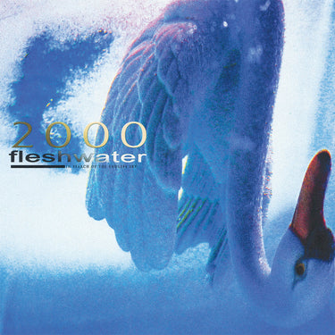 FLESHWATER -  2000: In Search Of The Endless Sky - CD