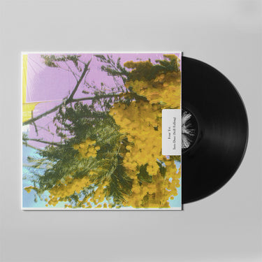 FOUR TET - Into Dust (Still Falling) - 12'' - Vinyl