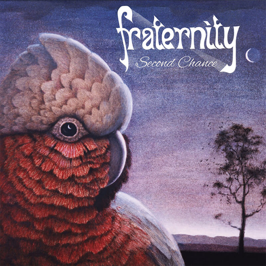 FRATERNITY - Second Chance [Black Friday 2023] - 2LP - Vinyl [NOV 24]