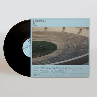 FRUIT BATS - Baby Man - LP - Vinyl