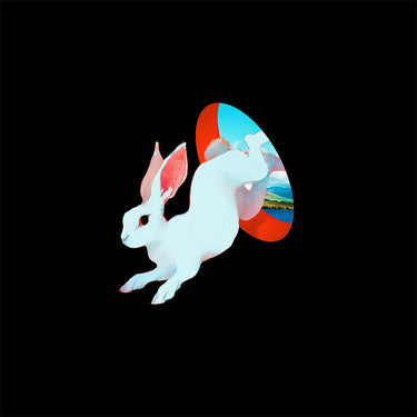 GANSER - Animal Hospital - LP - 'Future Blue' Colour Vinyl