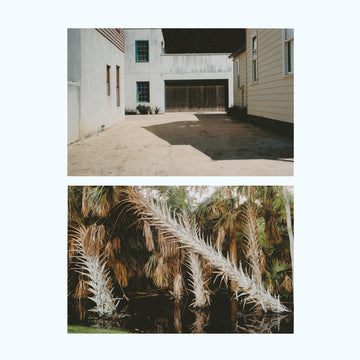 GIUSEPPE IELASI / JACK SHEEN - The Vestige - LP - Vinyl [AUG 22]