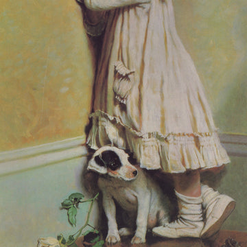 VARIOUS - Going Back To Sleep... - LP - Vinyl [NOV 28]