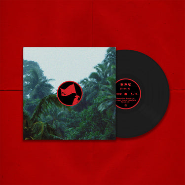 GROUP A.D. - Colour Space Transform - 12'' EP - Vinyl [MAR 27]