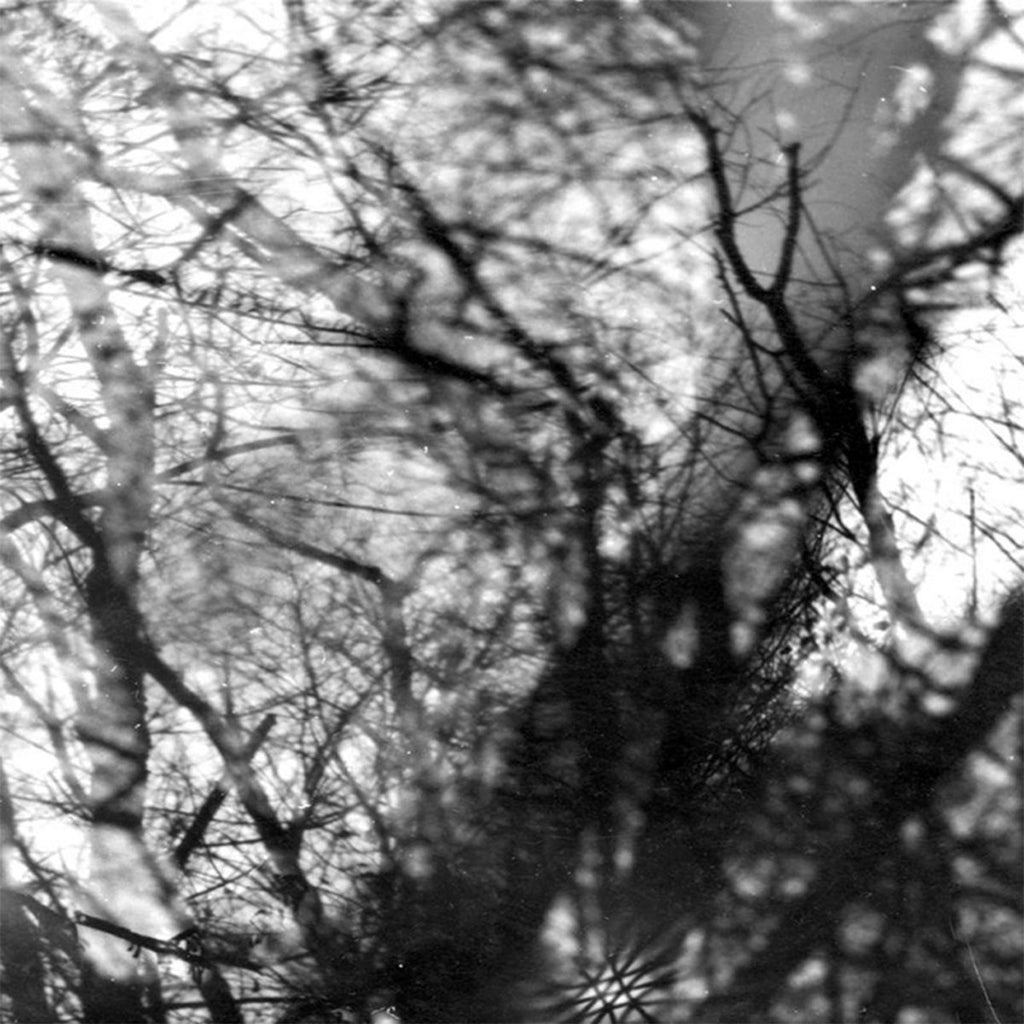 GROUPER - Way Their Crept (20th Anniversary Reissue) - LP - Vinyl [NOV 21]