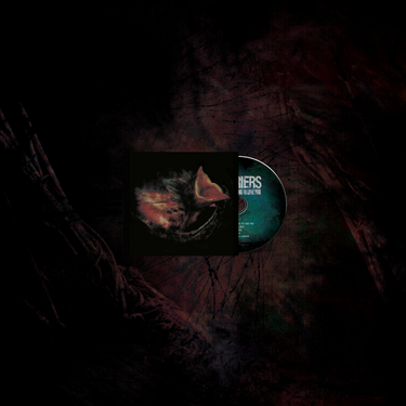 CD