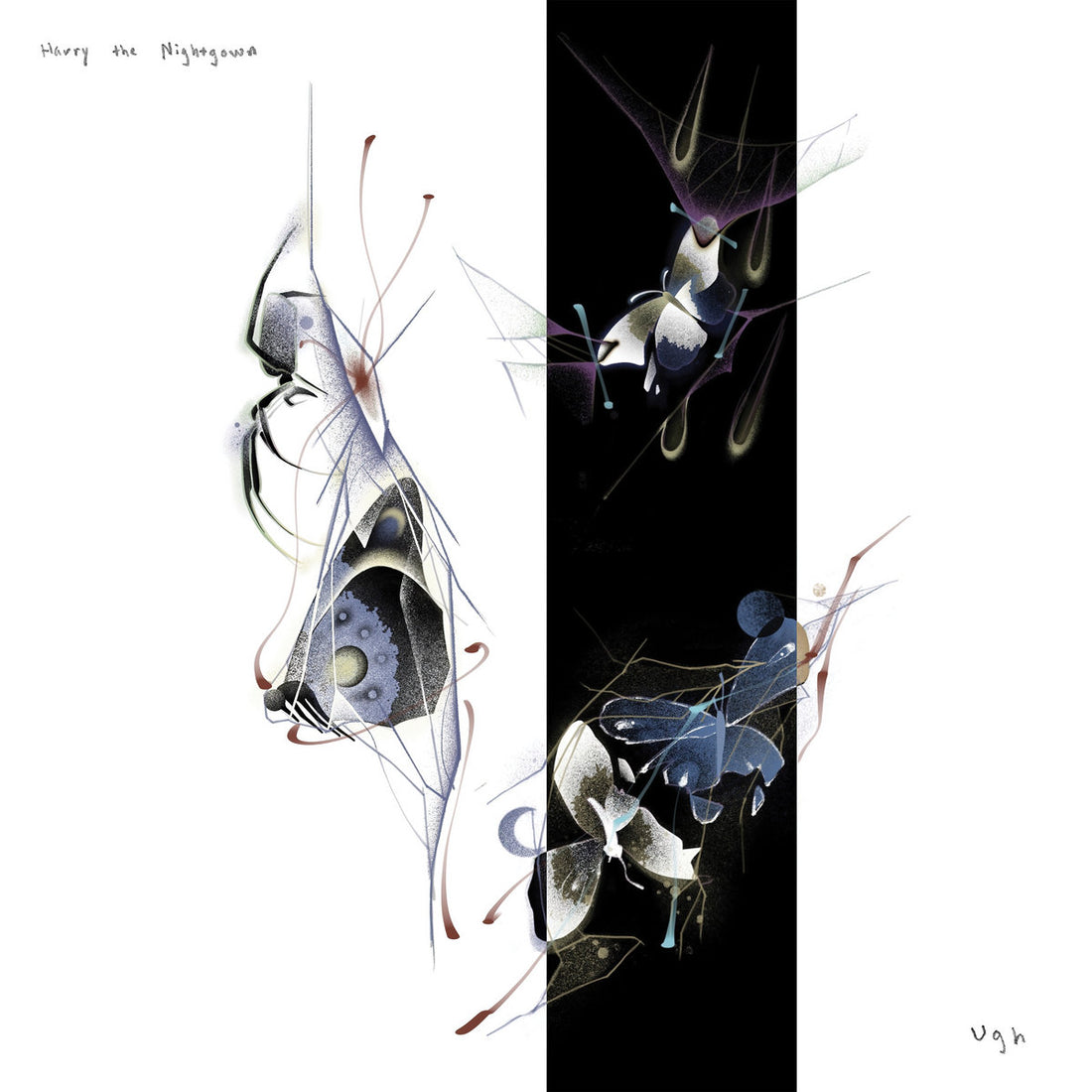 HARRY THE NIGHTGOWN - Ugh - LP - Vinyl [JUL 18]