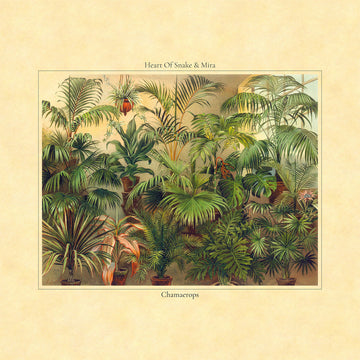 HEART OF SNAKE & MIRA - Chamaerops - LP - Vinyl [MAY 16]