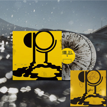 HIPPO CAMPUS - Flood (Indies Exclusive with SIGNED Print) - 2LP - Clear Galaxy Vinyl [SEP 20]