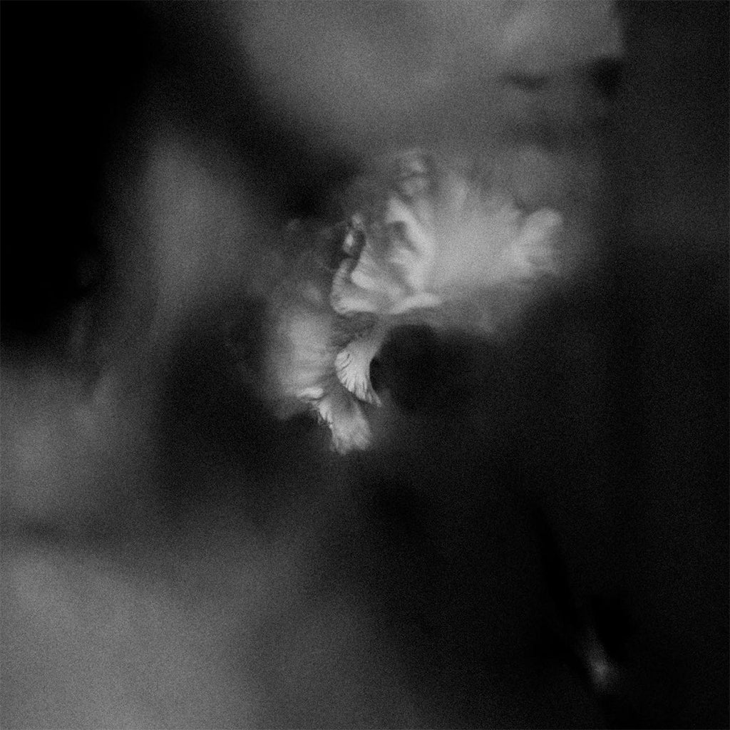HOLDING ABSENCE - Holding Absence (2023 Reissue) - LP - Clear and Black Splatter Vinyl [NOV 3]