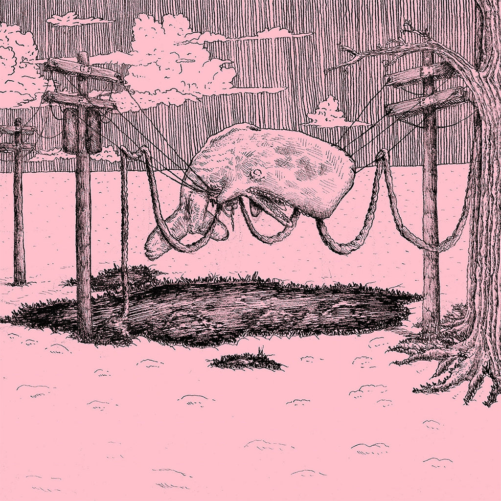 HOME IS WHERE - The Whaler  - LP - Pink Vinyl