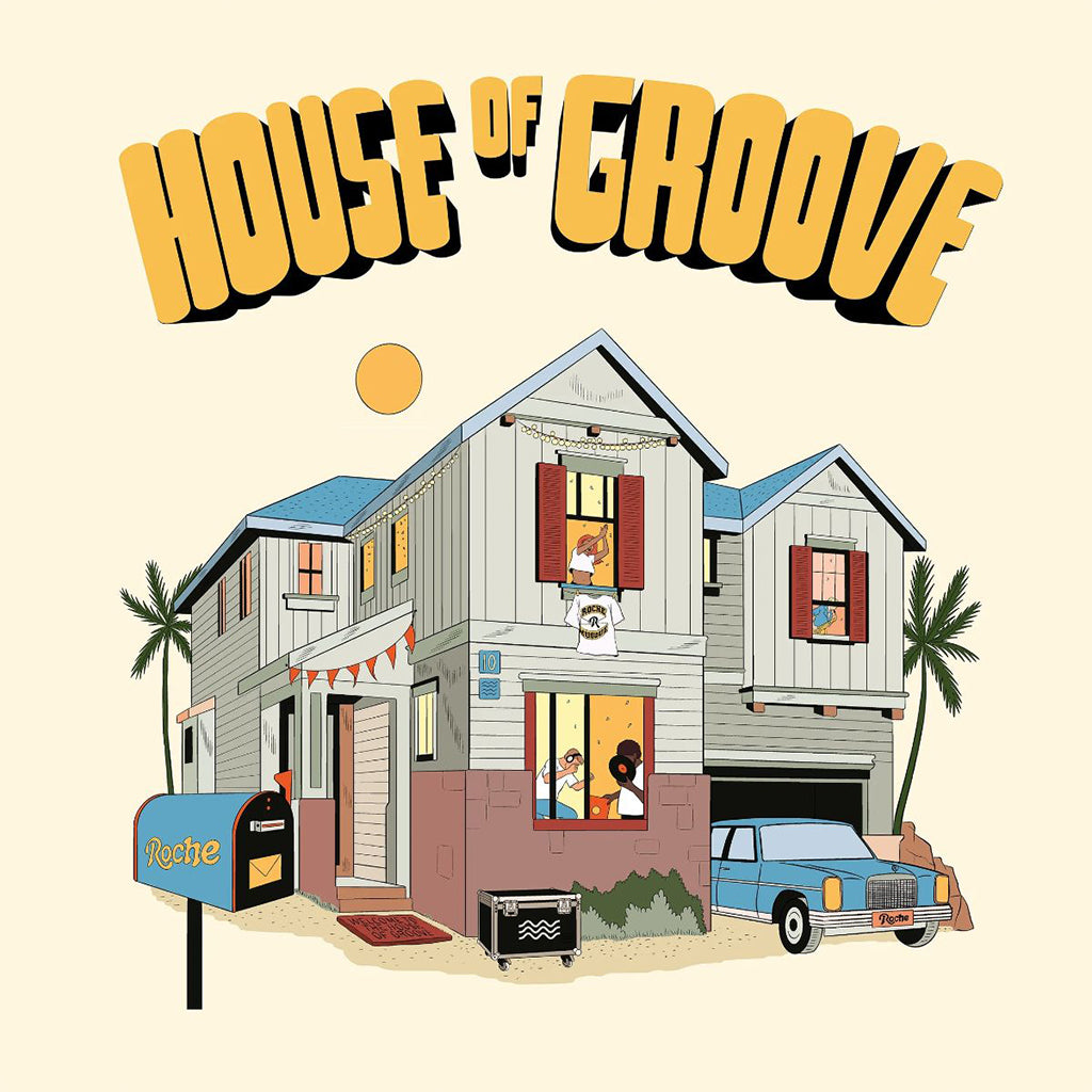 VARIOUS - House Of Groove - LP - Vinyl