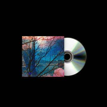 IDLEWILD - Idlewild - CD [OCT 3]