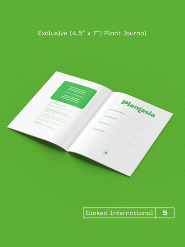 Mort Garson - Mother Earth’s Plantasia (50th Anniversary Edition)