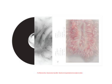 Black Vinyl LP