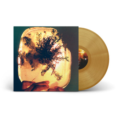 Rose of Jericho Glow Vinyl