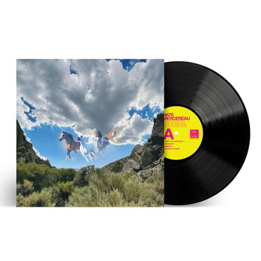 EcoSonic Cosmic Black 180g Vinyl