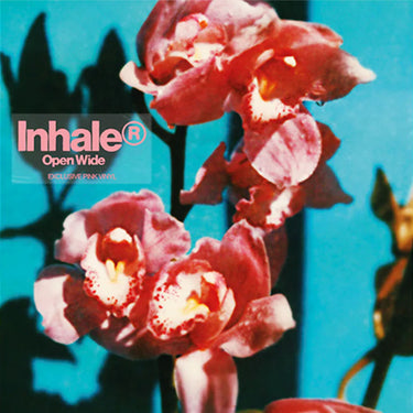 INHALER - Open Wide (Indies Exclusive w/ Alternative Cover Art) - LP - Pink Vinyl