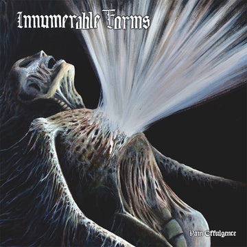 INNUMERABLE FORMS - Pain Effulgence - LP - Vinyl [AUG 22]